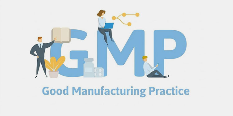 GMP compliant BFS system