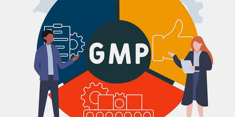 strict GMP rules