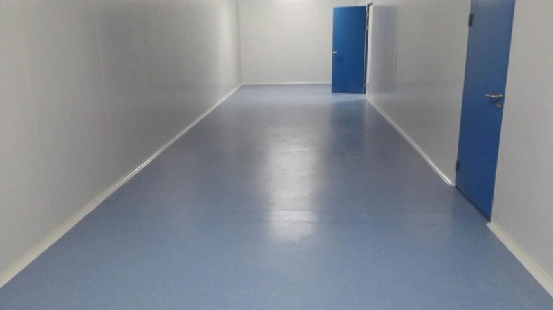 GMP Standard Pharmaceutical Cleanroom Solution Cleanroom