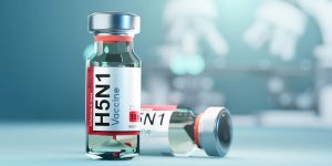 Avian Flu Vaccine For Chickens