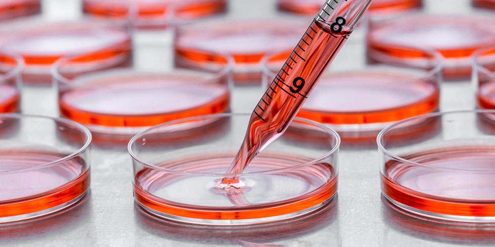 Cell Culture Freezing Medium