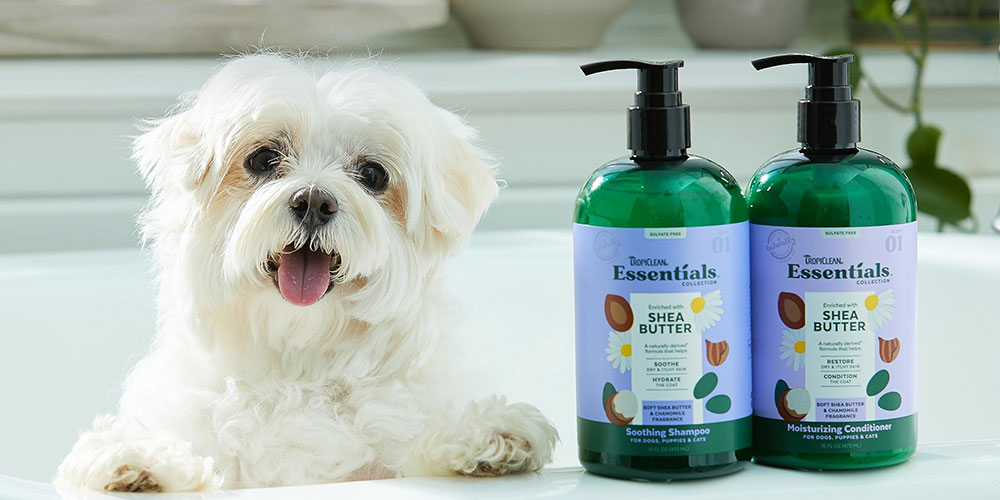 Insect Repellent For Dogs