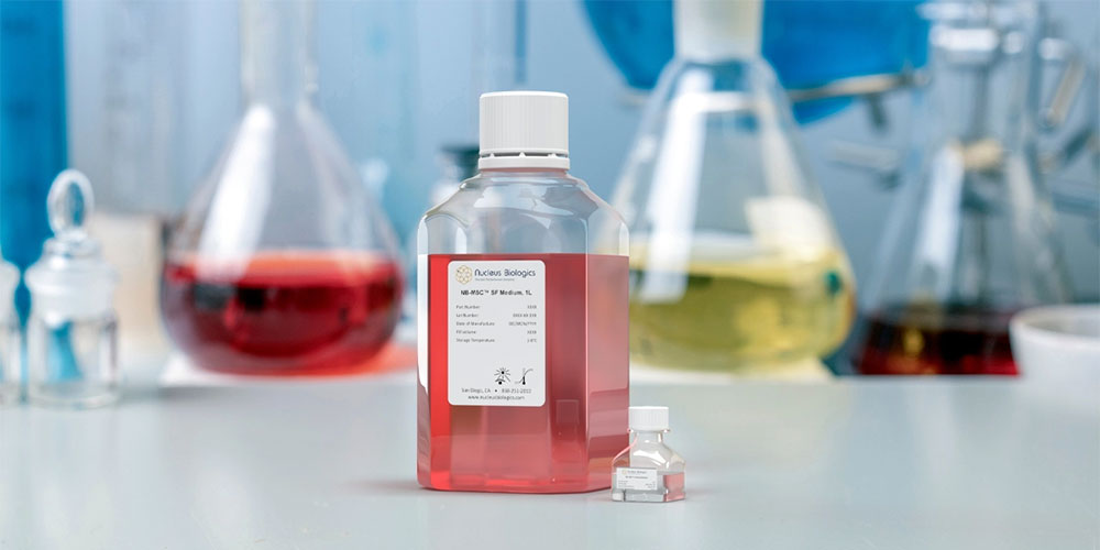 T Cell Culture Medium