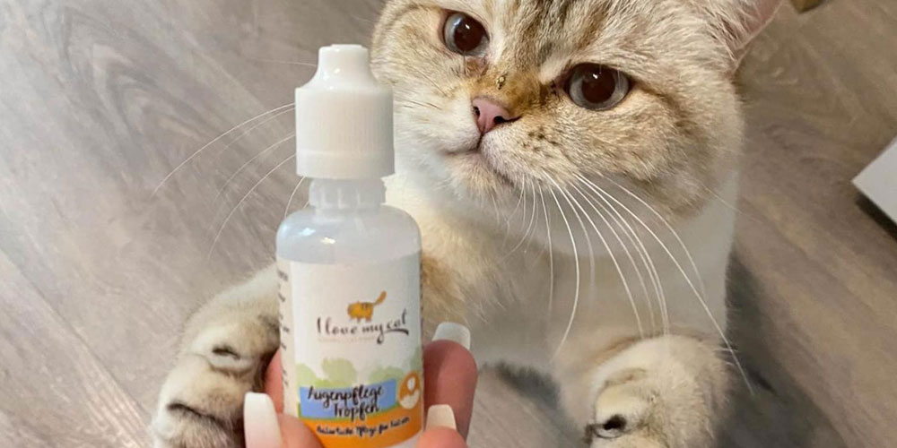Cat Ear Drops