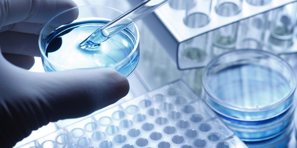 GBM Chemotherapy Drugs