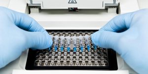 Monoclonal Antibodies For Dogs