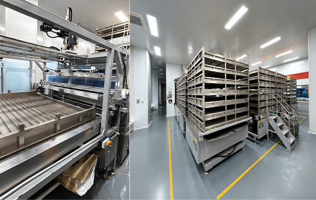 Autoclave with Automatic-3